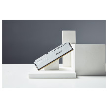 KINGSTON FURY Beast 16GB DIMM DDR5 5600MT / s DDR5 CL40 White XMP