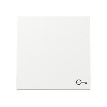 GIRA 328703 wall plate /...