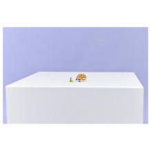LEGO Creator Cute Hamster with a Flower 31376