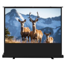 Maclean MC-213 Portable Projection Screen, Compact, Floor, 100", 16:10 Maclean MC-213 Portable Projection Screen, Compact, Floor, 100", 16:10