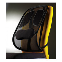 Professional Series Mesh...