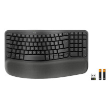 Logitech ERGO 920-012334 keyboard