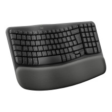 Logitech ERGO 920-012334 keyboard