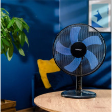 Zelmer ZTF0300 household fan Black Zelmer ZTF0300 household fan Black