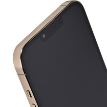 Apple iPhone 13 Pro Max 6.7' Dual SIM iOS 15 5G 256 GB Auksinis Perdarytas / Atnaujintas