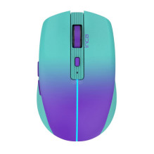 Inca IWM-511RM mouse