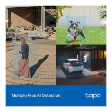 TP-Link Tapo C520WS