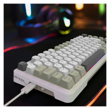 INCA Gaming Keyboard RGB / GraySwitch / USB-C / BT 2.00m white INCA Gaming Keyboard RGB / GraySwitch / USB-C / BT 2.00m white