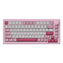 KEYBOARD WRL 5075 V3 /...