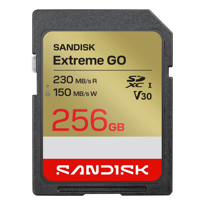 ATMINTINĖ SDXC 256GB UHS-I / SDSDXGN-256G-GNCIN SANDISK SDSDXGN-256G-GNCIN (619659227906)