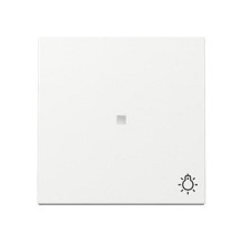 GIRA 367403 wall plate /...