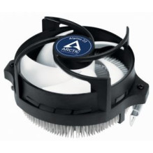 Arctic Alpine 23