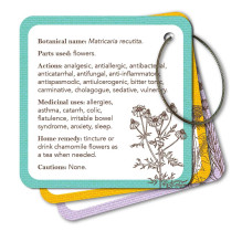 Apothecary Flashcards kortos Rockpool Apothecary Flashcards kortos Rockpool