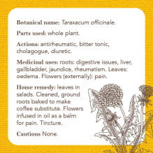 Apothecary Flashcards kortos Rockpool Apothecary Flashcards kortos Rockpool