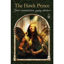 Wisdom of the Hidden Realms Oracle kortos Hay House Wisdom of the Hidden Realms Oracle kortos Hay House