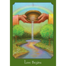 The Psychic Tarot Oracle kortos Hay House The Psychic Tarot Oracle kortos Hay House