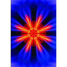 Psychic Reading kortos Rockpool Psychic Reading kortos Rockpool