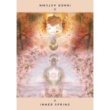 The Inner Temple Oracle Cards Hay House The Inner Temple Oracle Cards Hay House