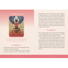 The Medicine Woman Oracle Cards Rockpool The Medicine Woman Oracle Cards Rockpool