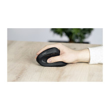SPEEDLINK SL-630026-BK mouse SPEEDLINK SL-630026-BK mouse