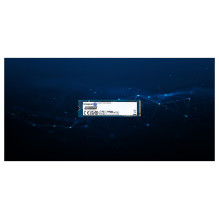 Kingston Technology DC2000B