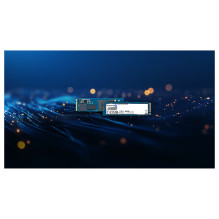 Kingston Technology DC2000B