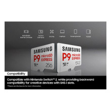 Samsung P9 Express microSDXC™ Memory Card - 256 GB