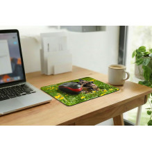 Esperanza EA133 mouse pad Multicolor Esperanza EA133 mouse pad Multicolor