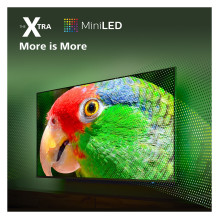 Philips 55PML9008 / 12 TV