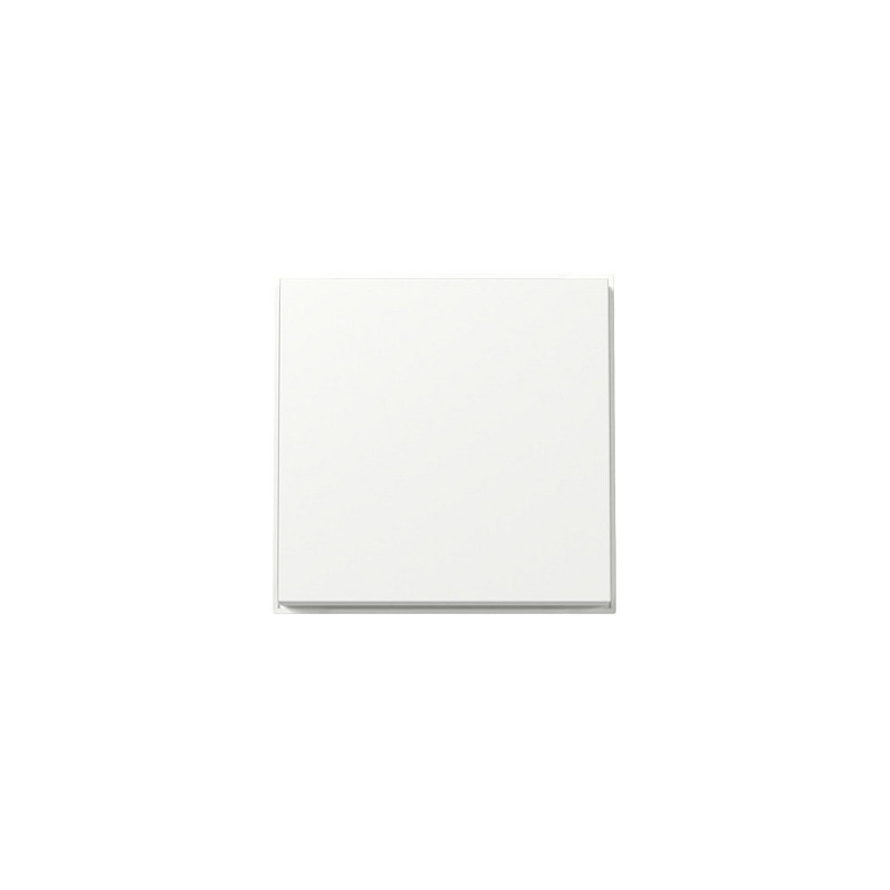 GIRA 329666 wall plate / switch cover