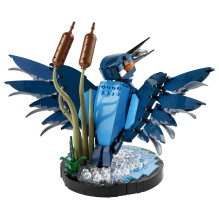 LEGO ICONS Kingfisher Bird