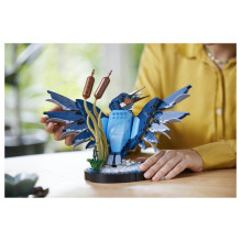 LEGO ICONS Kingfisher Bird