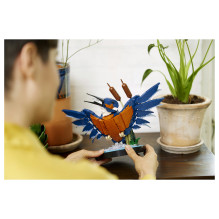 LEGO ICONS Kingfisher Bird