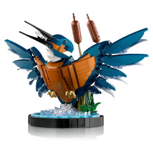 LEGO ICONS Kingfisher Bird