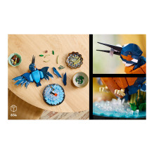 LEGO ICONS Kingfisher Bird