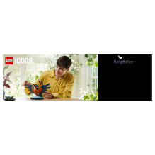 LEGO ICONS Kingfisher Bird