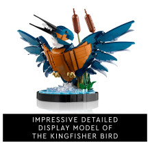 LEGO ICONS Kingfisher Bird