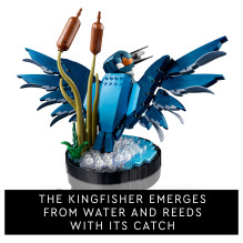 LEGO ICONS Kingfisher Bird