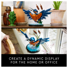 LEGO ICONS Kingfisher Bird
