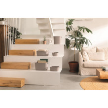 Basket Curver, 4 l, grey, 26 x 19 x 11 cm Basket Curver, 4 l, grey, 26 x 19 x 11 cm