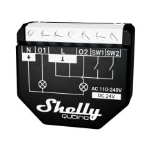 Shelly Qubino WAVE 2PM