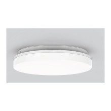 „Synergy 21“ LED apvalus...