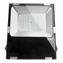 LED prožektorius 50W RGB-WW RGB-CCT IP65 230V