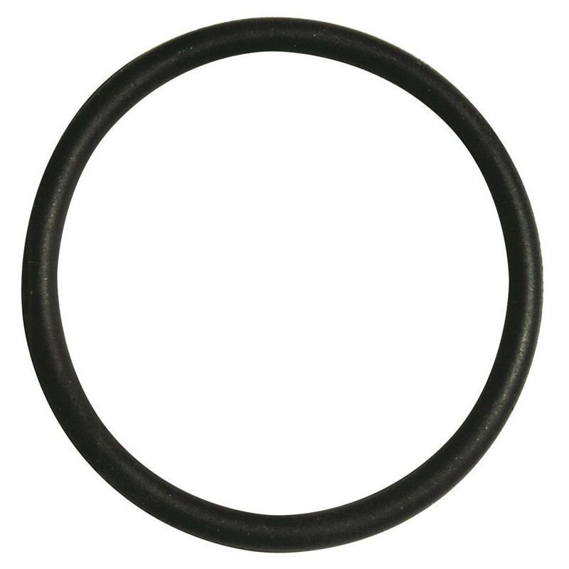 Guminė tarpinė Perla, Ø 32 mm 10 vnt.