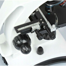 Delta Optical Biolight 300 microscope Delta Optical Biolight 300 microscope