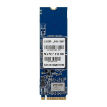 SSD - 256 GB - vidinis - M.2 - M.2 plokštė