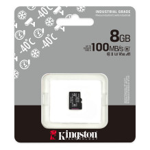 Kingston Technology Industrial