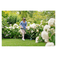 Bosch Easy GrassCut 18V-230 cordless grass shear Bosch Easy GrassCut 18V-230 cordless grass shear