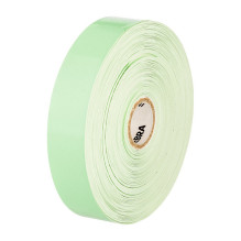 Zebra Z-Band Fun - Green -...