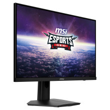 MSI G244F E2 kompiuterio monitorius